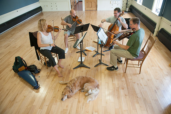 CVCMF Rehearsal - Week II_REC9689