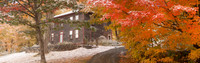 Snow Squall_REC4205E