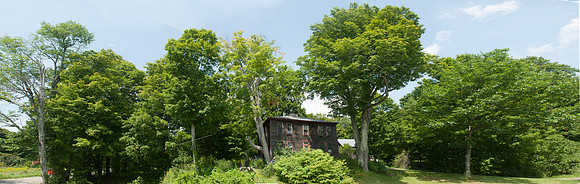 Braintree Hill House Maples_REC9017EE