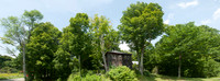 Braintree Hill House Maples_REC9017E