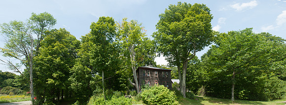 Braintree Hill House Maples_REC9017E