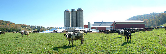 wakefield corn storage