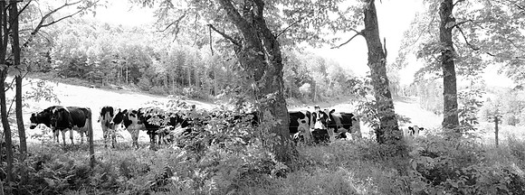 Wakefield farm pan4755