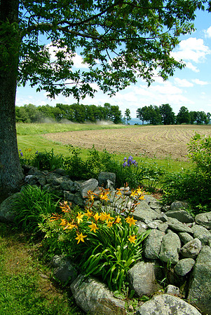 circle saw plowed field4688