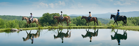 Braintree Horses_REB1710