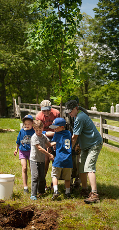 Braintree Hill Tree Planting_REB5444