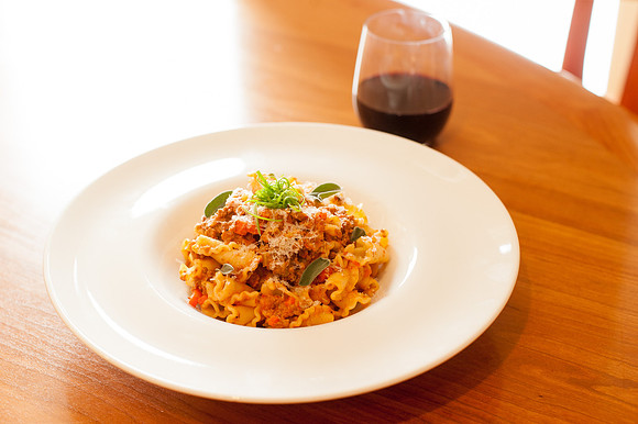 Alpaca Bolognese