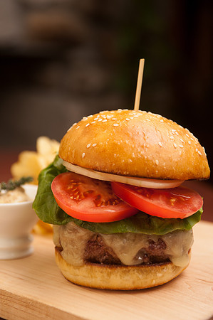 Alpaca Burger