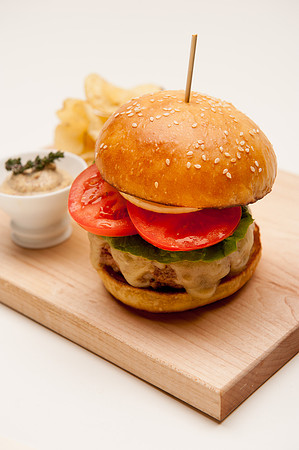 Alpaca Burger