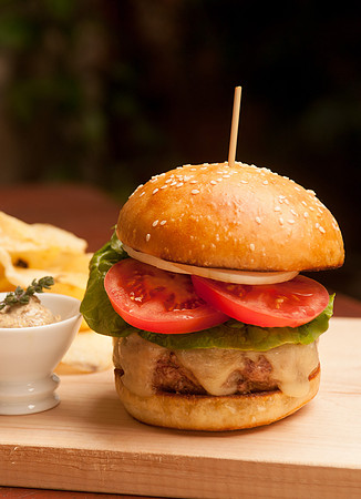 Alpaca Burger