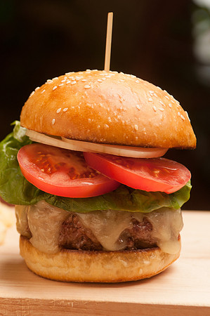 Alpaca Burger