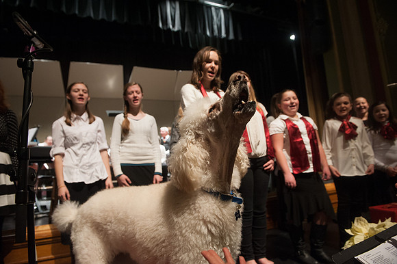 Randolph Singers Christmas Concert_REC4054