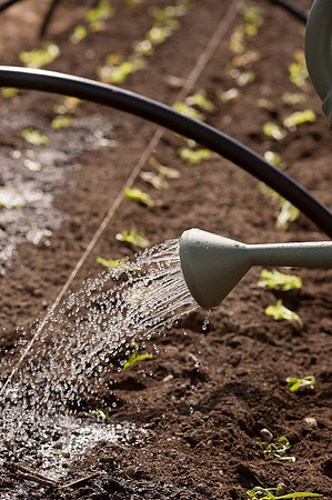 RTCC_AgTech_TCC6269