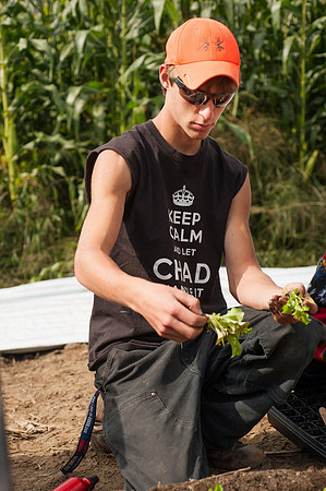 RTCC_AgTech_TCD4221