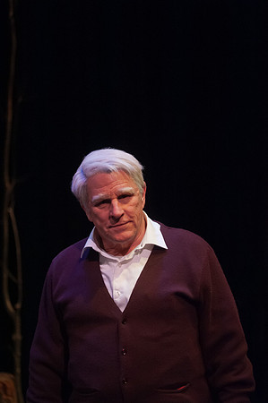 LNT Robert Frost_REC8983