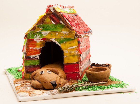TFP Gingerbread House-6720