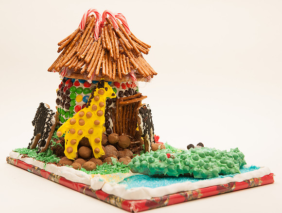 TFP Gingerbread House-6671