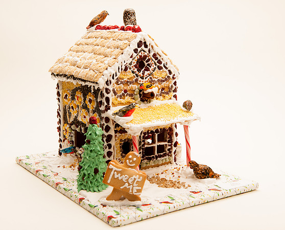 TFP Gingerbread House-6623