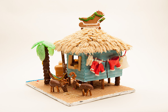 TFP Gingerbread House-6628