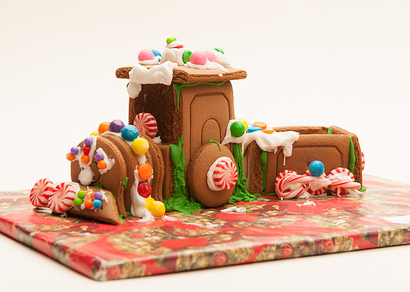 TFP Gingerbread House-6693