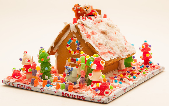 TFP Gingerbread House-6746