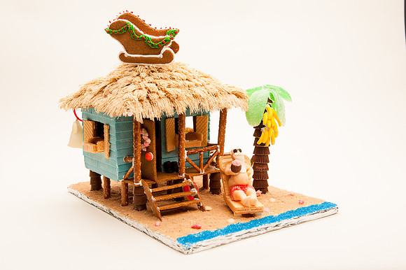 TFP Gingerbread House-6625