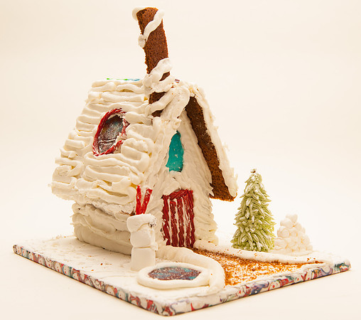 TFP Gingerbread House-6723