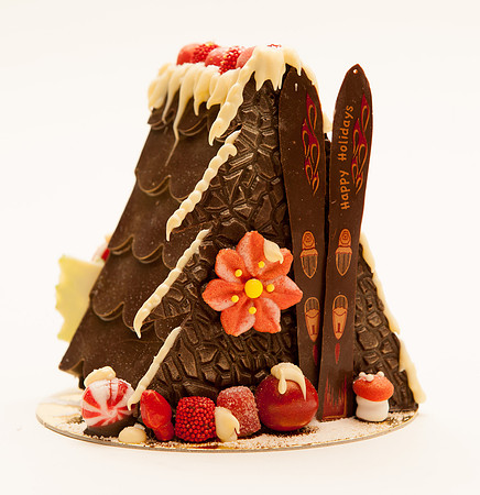 TFP Gingerbread House-6656