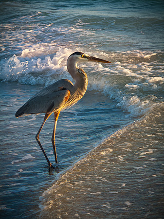 Florida-0233