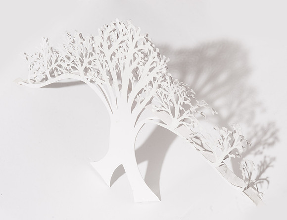 TreeBridge_TCC8539E