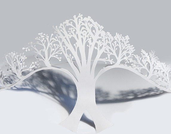 PaperTree_TCC5268E