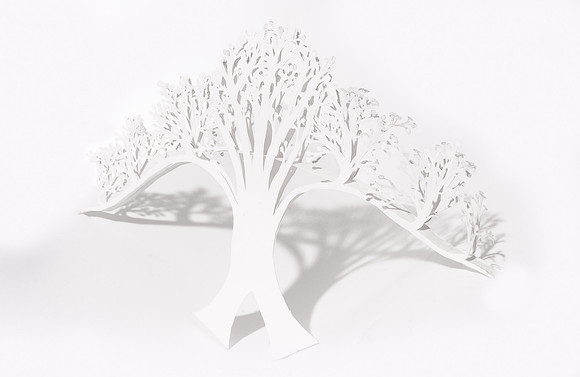 TreeBridge_TCC8546E
