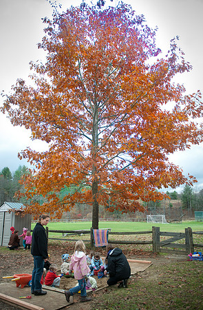 StraffordPreschool-7989