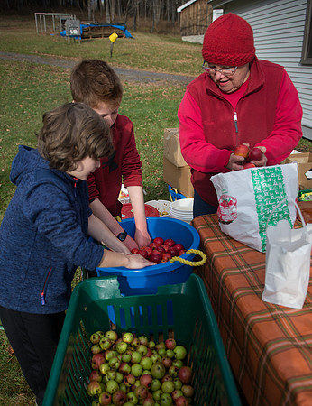 Lin and Roberta Brown - Elmshade Farm, Braintree, Vt-8706