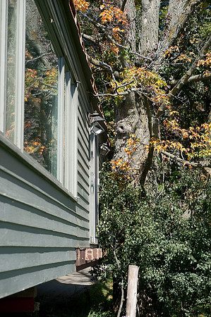 HouseMove-1020