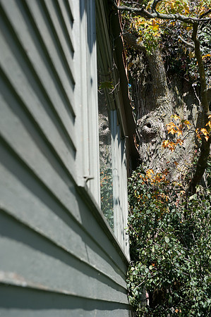 HouseMove-1030