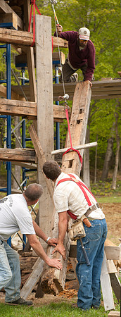 Barn Rescue-1102