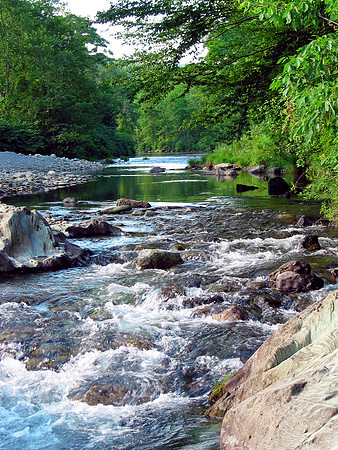Third Branch of the White River