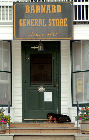 Barnard-2004_Barnard Gen Store Dog 9087
