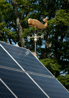 Smith & Wilker Energy Efficiency-26244