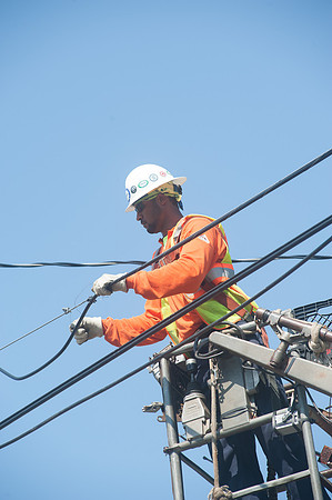 EustisCable_RE21755