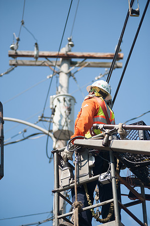 EustisCable_RE21555