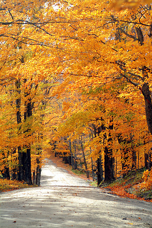 Golden Way