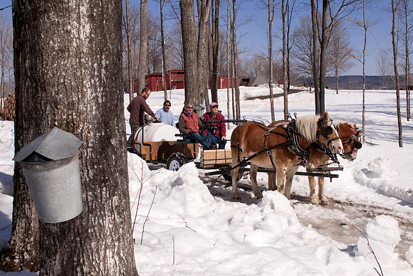 Sugaring-Turkey Hill-2040