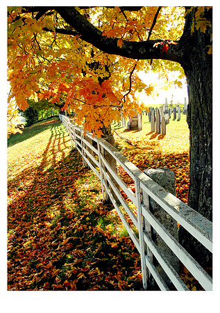 Brookfield Color