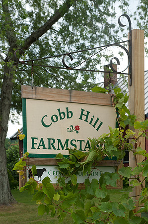 Knights-CobbHillFarmstead-8447
