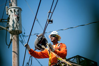 EustisCable_RE21620