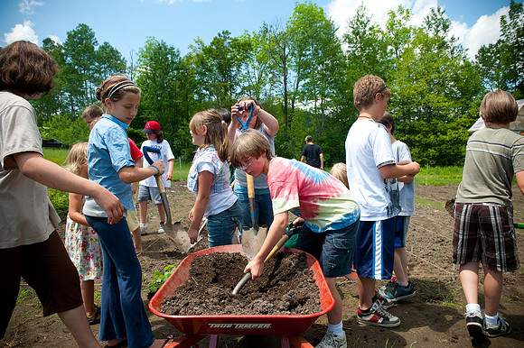 Newton School-2747