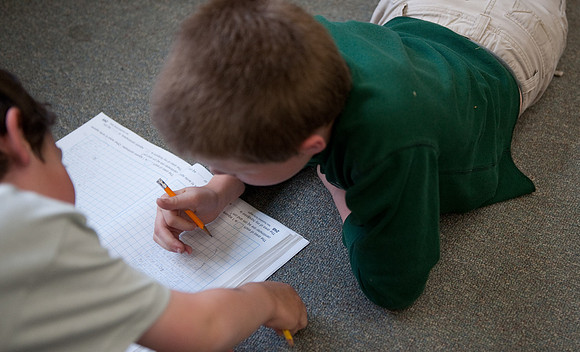 Newton School-2836