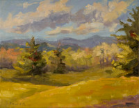 Fowler_AmityPond